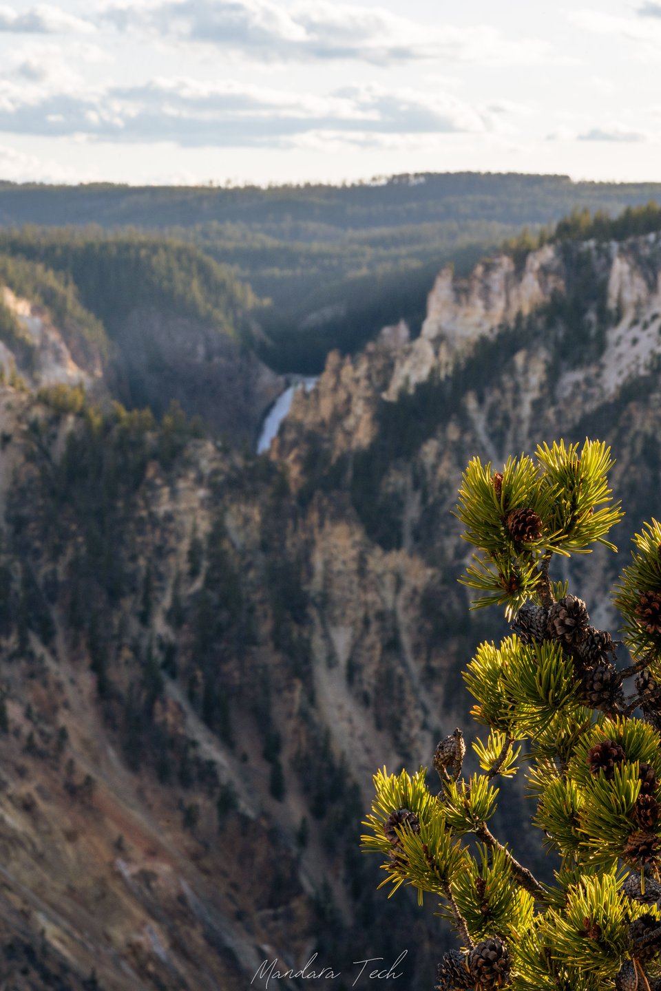 Yellowstone — 20250525-DSC_3203-HDR