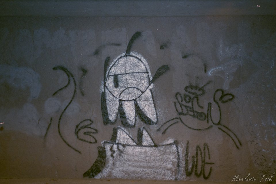 Film 2506 — 20250608-Img067