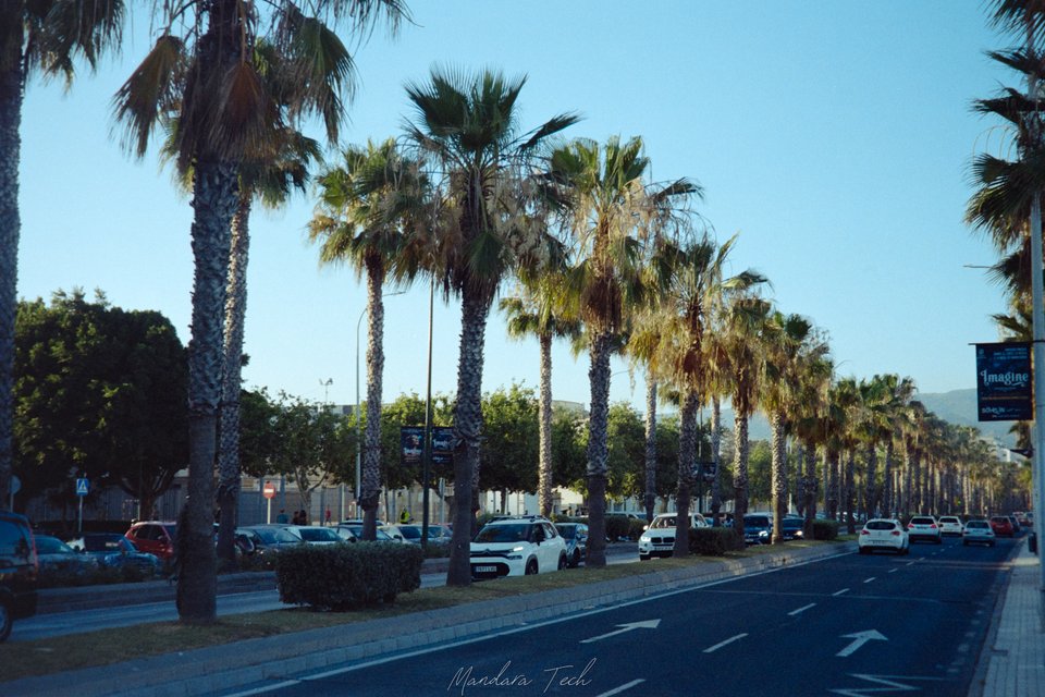 Malaga — 20250629-Img105