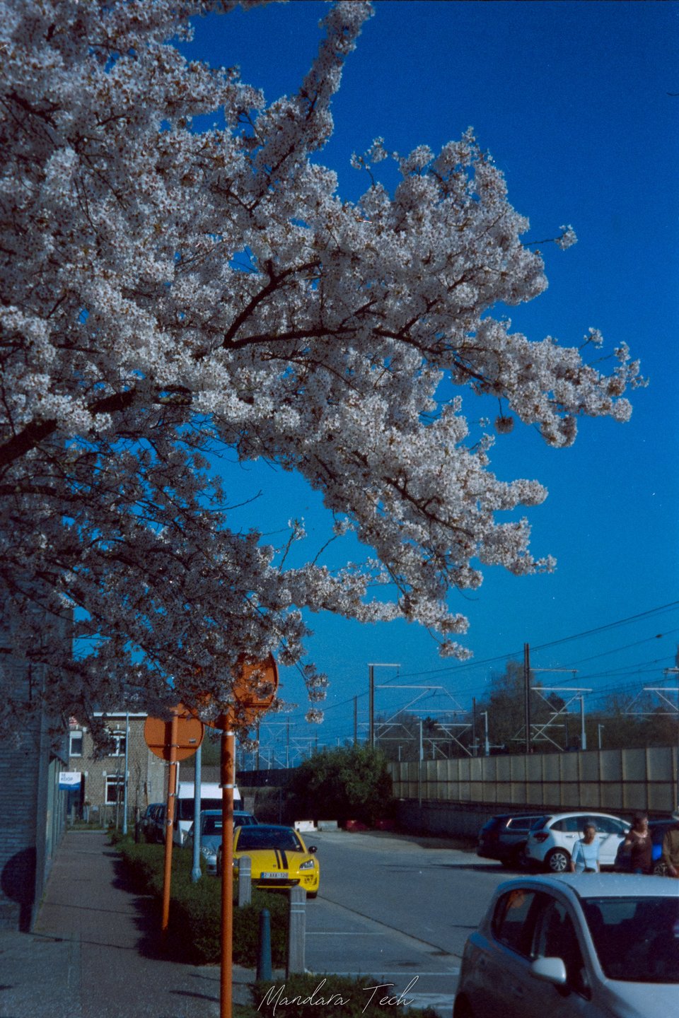 Film 2506 — 20250608-Img061
