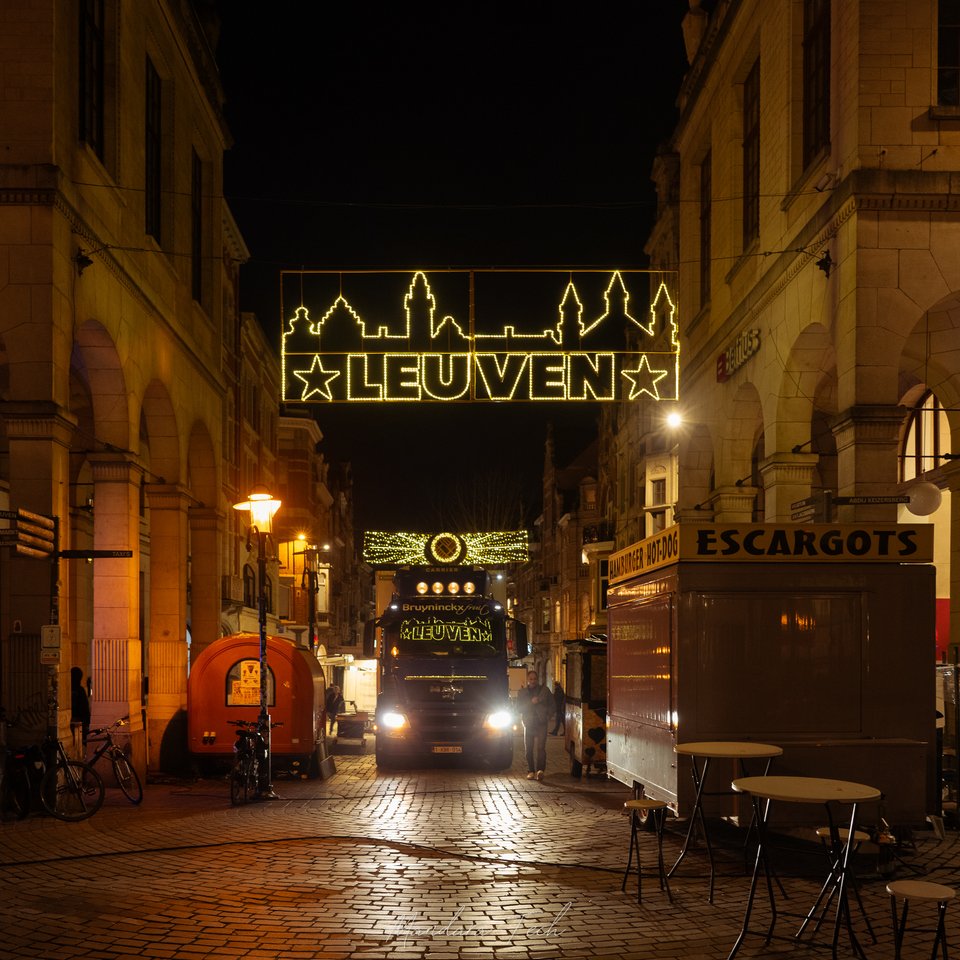 Leuven2 — 20260117-DSC_4521