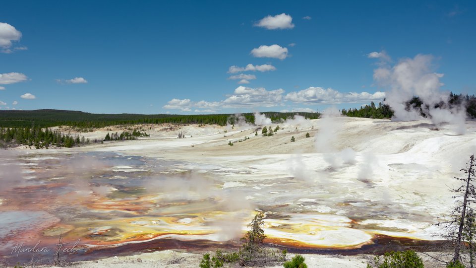 Yellowstone — 20250525-DSC_3043