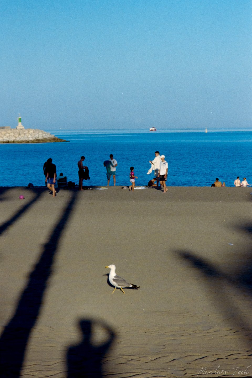 Malaga — 20250629-Img106