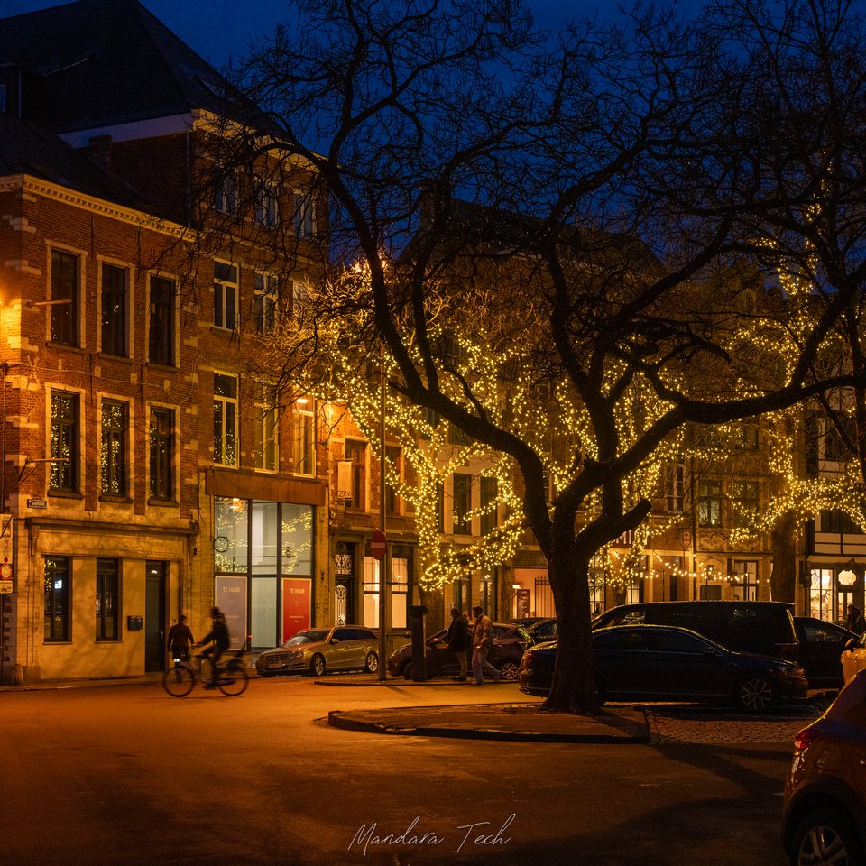 Leuven2 — 20260117-DSC_4517