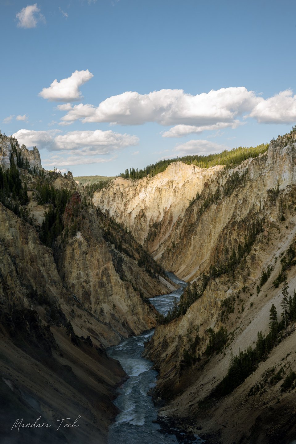 Yellowstone — 20250525-DSC_3142