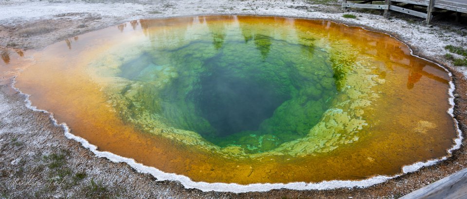 Yellowstone — 20250524-DSC_2882